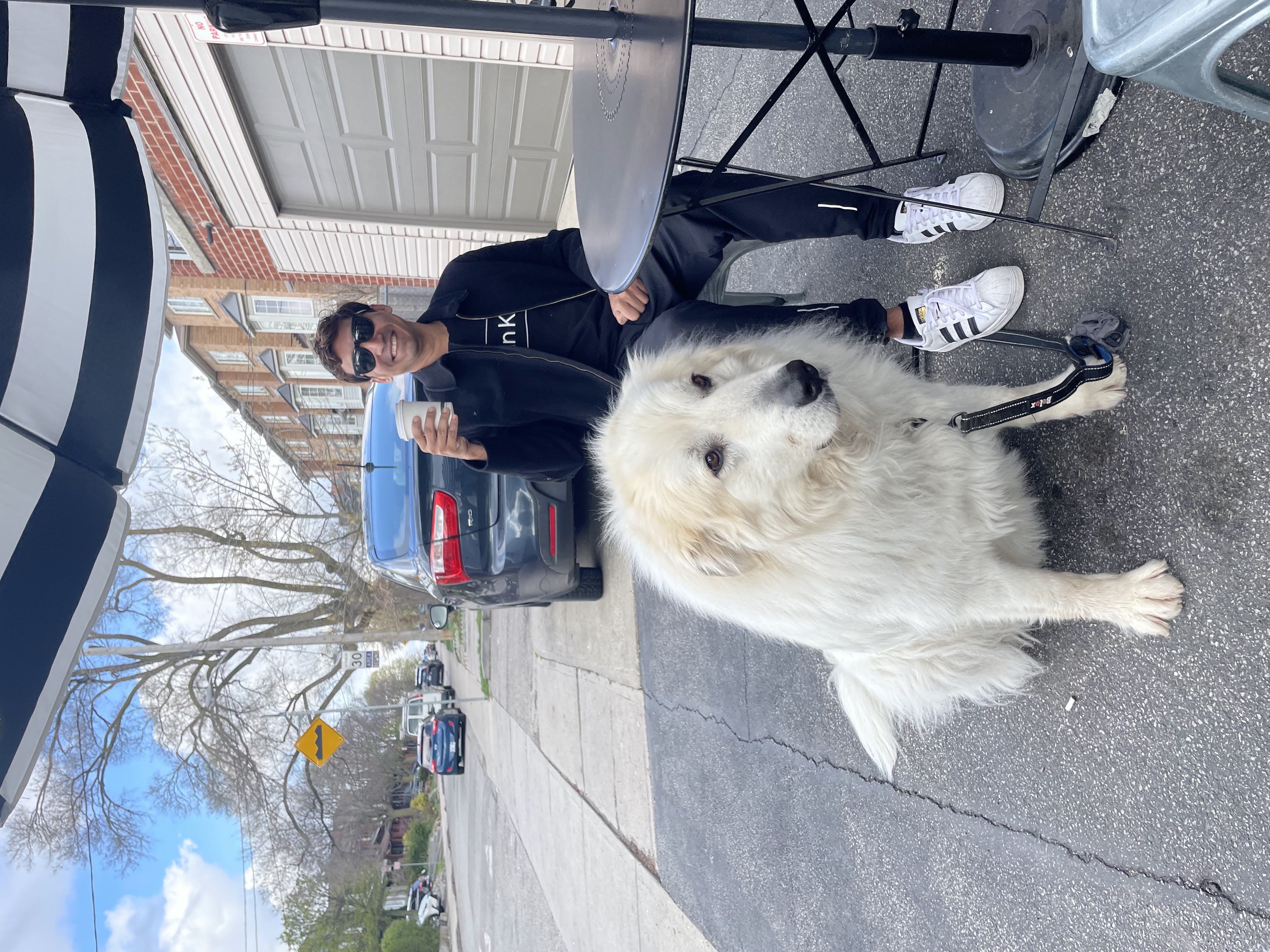 Sandeep and Astor, a Great Pyrenees rescue, in Toronto